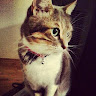 Zeynep A.